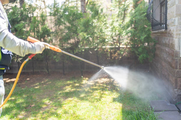 Best Cockroach Control  in Bainbridge Island, WA